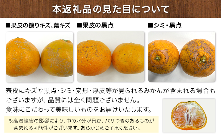 ご家庭用『かっちゃんファーム』のご家庭用みかん★ 約10kg【2S-2Lサイズ(大小サイズ混合)】 自然本来のおいしさ！《1月上旬-1月末頃出荷》