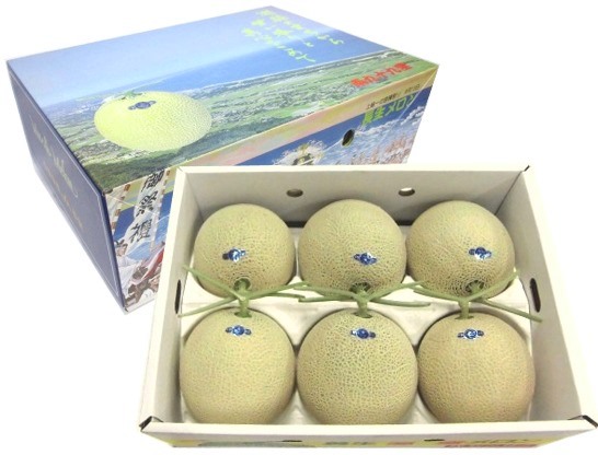 長生マスクメロン１箱６玉入（約９kg）【2026年夏発送分】