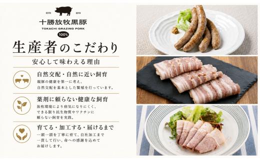 【数量限定】十勝放牧黒豚　極上バルセット 【ふるさと納税 人気 おすすめ ランキング 黒豚 自然放牧 ステーキ ハンバーグ 焼肉 生ハム ソーセージ ベーコン ハム ラクレット チーズ 惣菜 豚肉 B