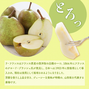 【先行予約】令和7年産 ラ・フランス 3kg（8～9玉）2025年11月中旬～ お届け ラフランス 洋梨 西洋梨 2025年産