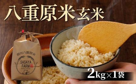【寄附額改訂】令和８年新米予約！八重原米2kg（2kg×1袋）玄米 コシヒカリ 特A米 ※2026年10月以降順次発送｜笹屋農園「農薬削減長野県認証取得」　先行予約 玄米