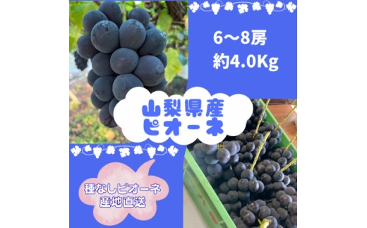 ＜2026年8月より発送予定＞ピオーネ6～8房(約4.0kg)【1727826】