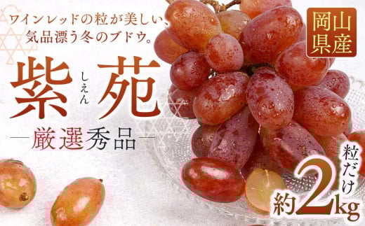 
            ぶどう 2025年 先行予約 紫苑 厳選 秀品 粒だけ 約2kg 岡山 国産 果物 フルーツ  2025年10月上旬から発送
          