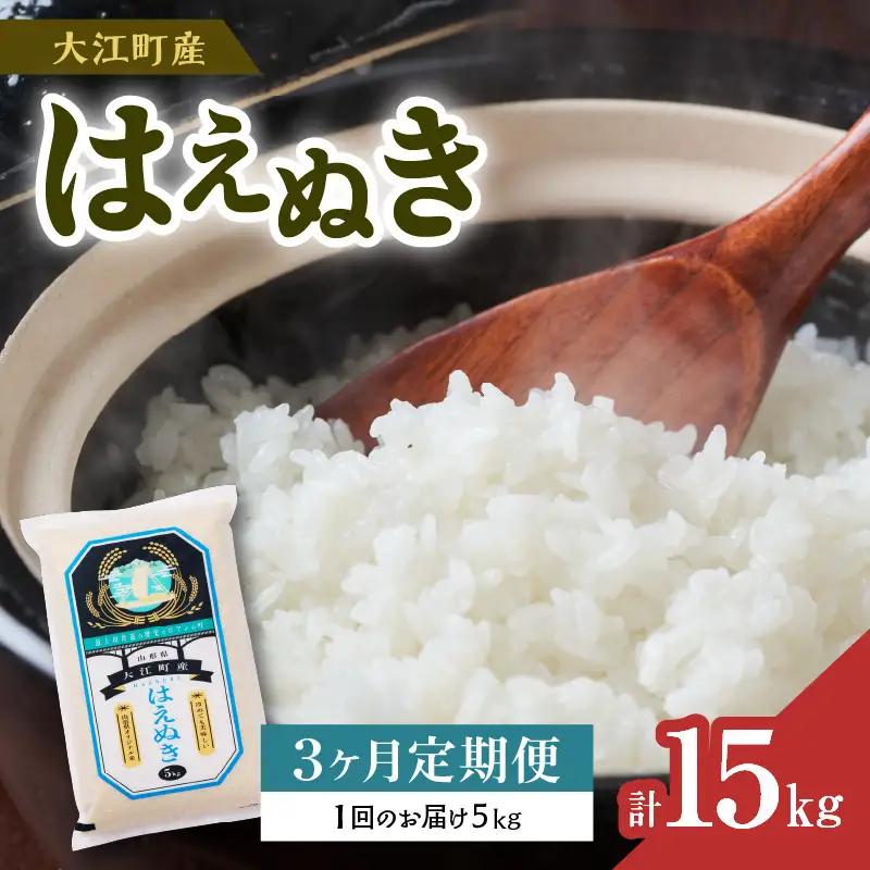 《先行受付》【新米】 《3ヶ月定期便》大江町産 はえぬき 5kg×3ヶ月(計15kg)【山形県産】【2025年度産米 10月頃より順次発送予定】 001-T04