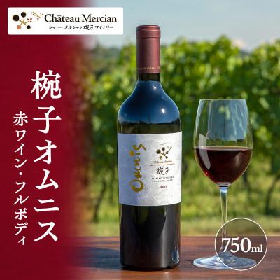 ふるさと納税 上田市 ワイン 椀子オムニス 750ml シャトー・メルシャン 赤ワイン[54040432]