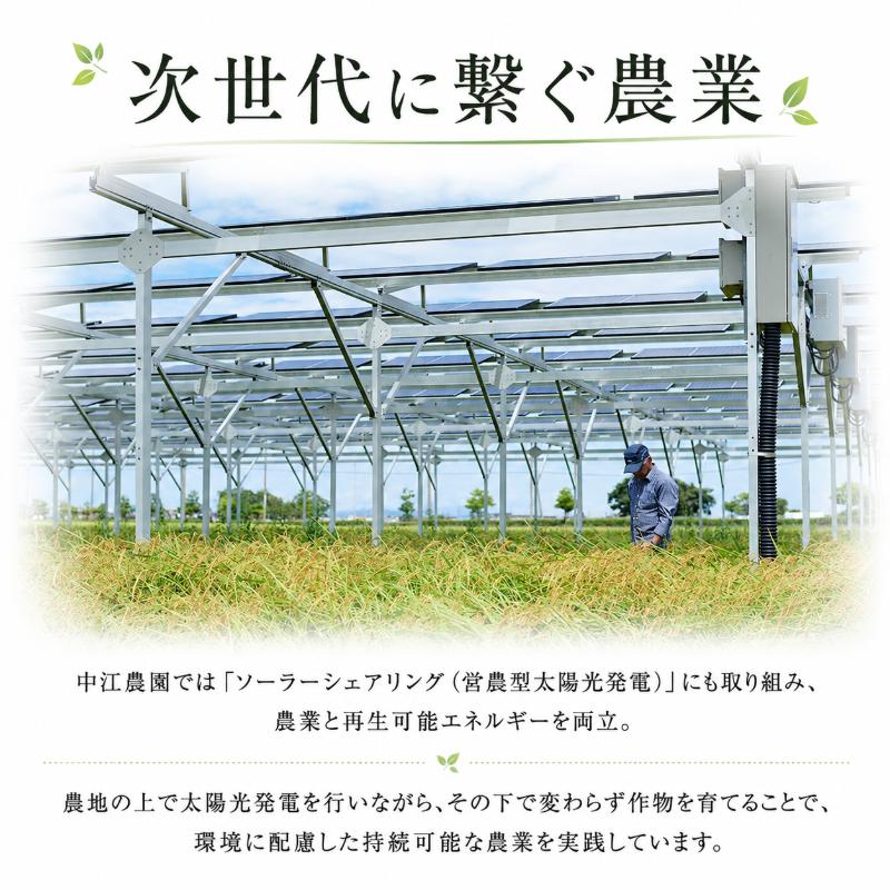 令和7年産 コシヒカリ 10kg 白米 米 数量 限定 こしひかり 10キロ 米10kg ごはん こめ コメ はくまい okome kome おむすび おにぎり 国産 飯 おこめ 小松島市