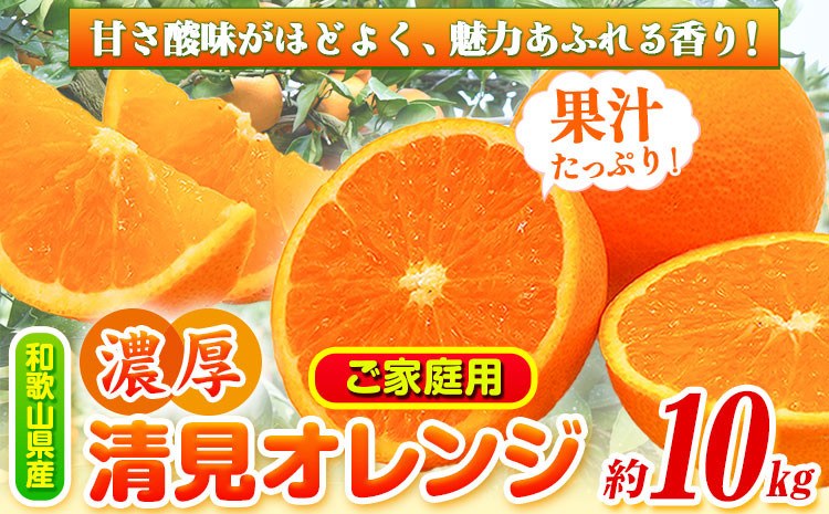 
            【先行予約】【訳あり・ご家庭用】和歌山県 由良町産 の 濃厚 清見 オレンジ 約10kg 厳選館《2026年2月中旬-3月中旬頃出荷》 和歌山県 日高町 みかん 柑橘
          