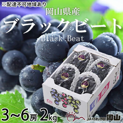 【ふるさと納税】ぶどう 2026年 先行予約 ブラックビート 約2kg 3〜6房 岡山県産 国産 フルーツ 果物 ギフト ぶどう ブドウ 葡萄 ブラックビート 種なし 大粒 黒ぶどう 甘い ジューシー 産地直送 冷蔵 数量限定　お届け：2026年8月中旬〜2026年9月上旬