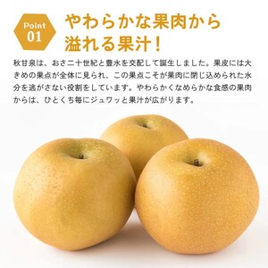Y305 秋甘泉（秀） 5kg（3L）