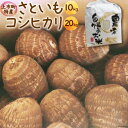 【ふるさと納税】 先行予約 コシヒカリ 20kg さといも 10kg 詰め合わせ [里山の駅 つるぎの味蔵 富山県上市町 32280019] 米 こしひかり 精米 白米 里芋 サトイモ 野菜 美味しい 特産品