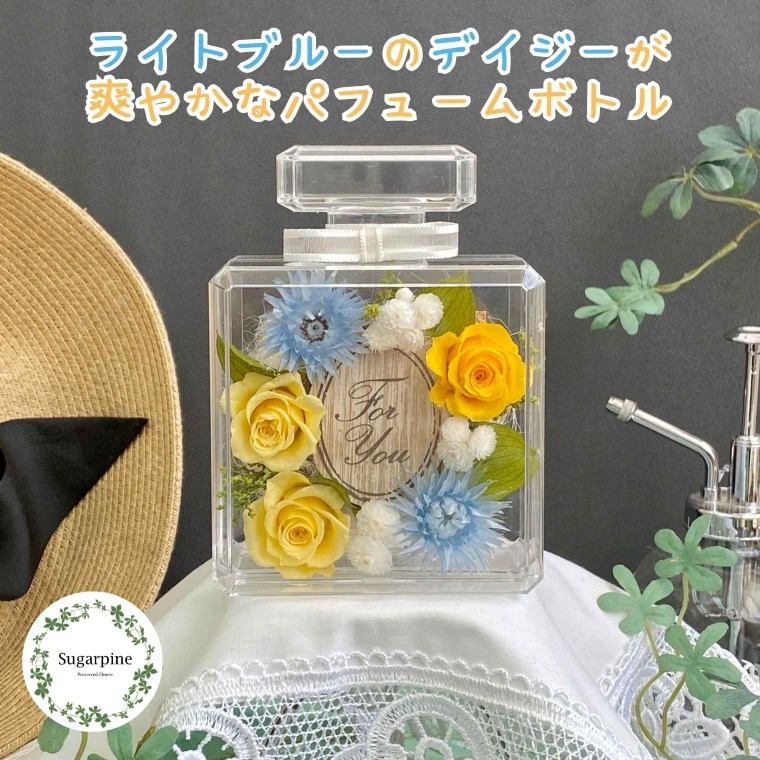 プリザーブドフラワー　レア　春日部市　シュガーパイン(AJ251)