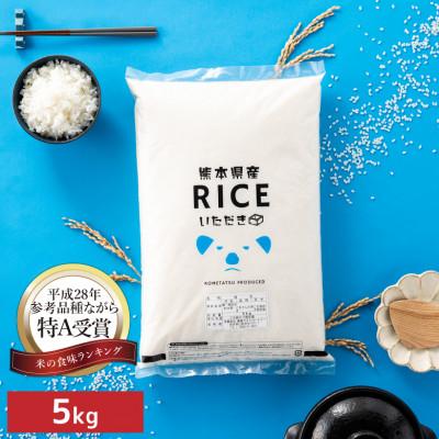 ふるさと納税 山鹿市 【令和7年産】くまさんの輝き 白米 5kg(5kg×1袋)熊本県産