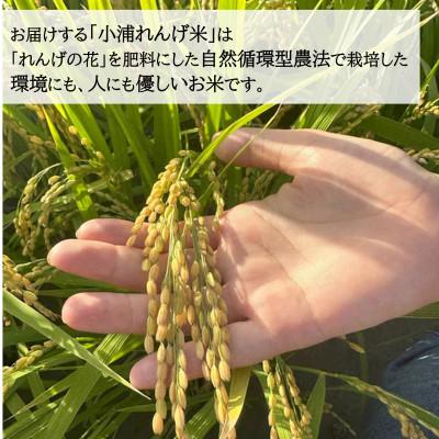 ふるさと納税 日高町 令和8年産(2026年産)新米!小浦れんげ米(にじのきらめき)【玄米】10kg |  | 01