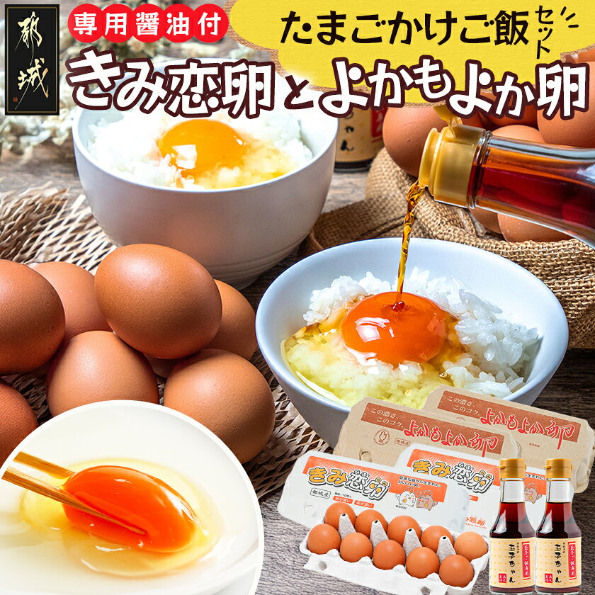 【ふるさと納税】「きみ恋卵」と「よかもよか卵」のたまごかけご飯セット - たまごの食べ比べセット 卵かけご飯専用醤油 玉子ちゃん 甘口 破損補償つき ブランド きみ恋卵 25個 よかもよか卵 15個 Mサイズ 送料無料 12-29-002 【宮崎県都城市】