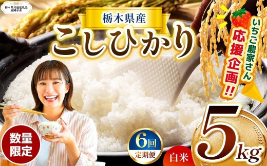 【栃木県共通返礼品】【先行予約】【定期6回】数量 限定 訳あり 定期便 令和8年度 栃木県産 コシヒカリ 約 5kg | 数量限定 こしひかり 精米 白米 米 ごはん おいしい 密閉パック ふるさと納税 那珂川町 栃木県