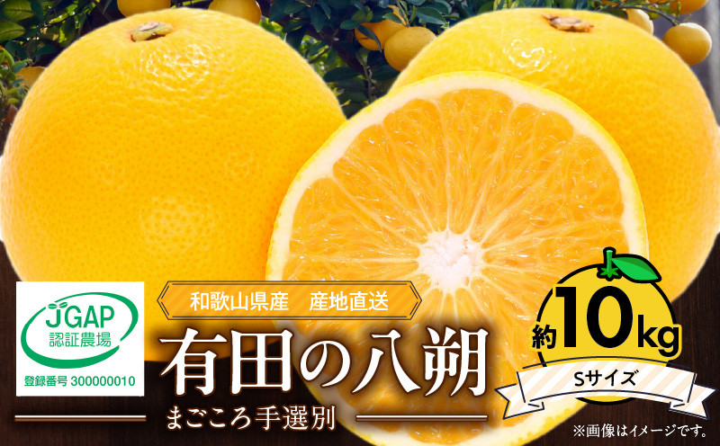 
            ZE6073n_【2026年先行予約】有田の八朔 (はっさく) 10kg（Sサイズ）まごころ手選別

          