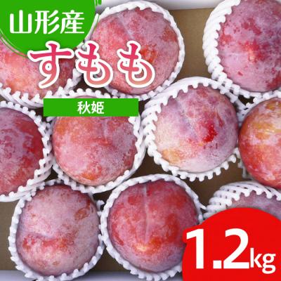ふるさと納税 山形市 山形市産 すもも(秋姫) 1.2kg(7〜12玉) 【令和8年産先行予約】FU22-026 く