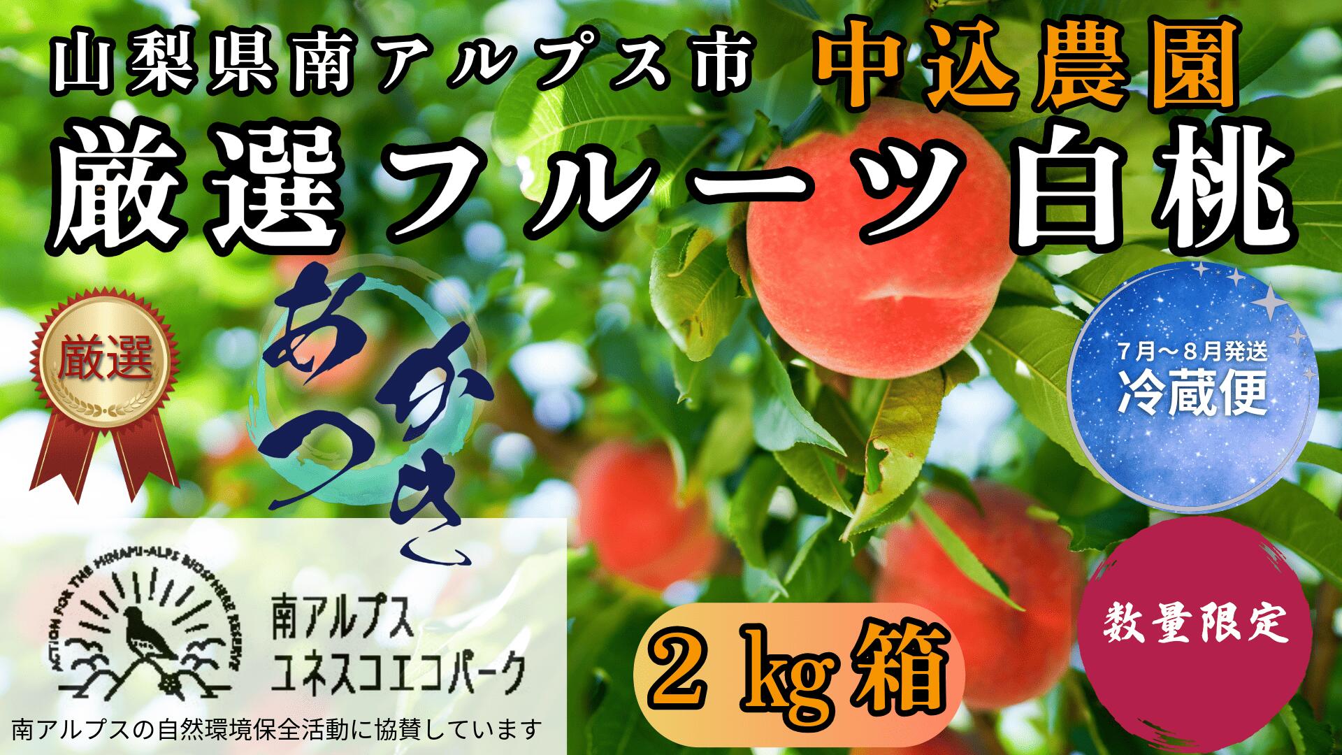 【ふるさと納税】＜2026年発送先行予約＞ 山梨県南アルプス市産 厳選桃 (あかつき) 2kg 山梨県南アルプス市産 ふるさと納税 桃 もも 果物 フルーツ おすすめ 山梨県 南アルプス市 送料無料 ALPEM006