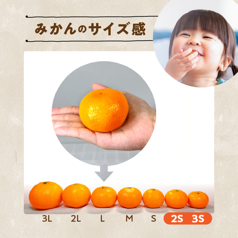 MK1041_【2025年先行予約】みかん とにかく 小玉 箱込 10kg ( 内容量 9.2kg ) 2Sサイズ以下 秀品 優品 混合 有田みかん 和歌山県産 産地直送 【みかんの会】