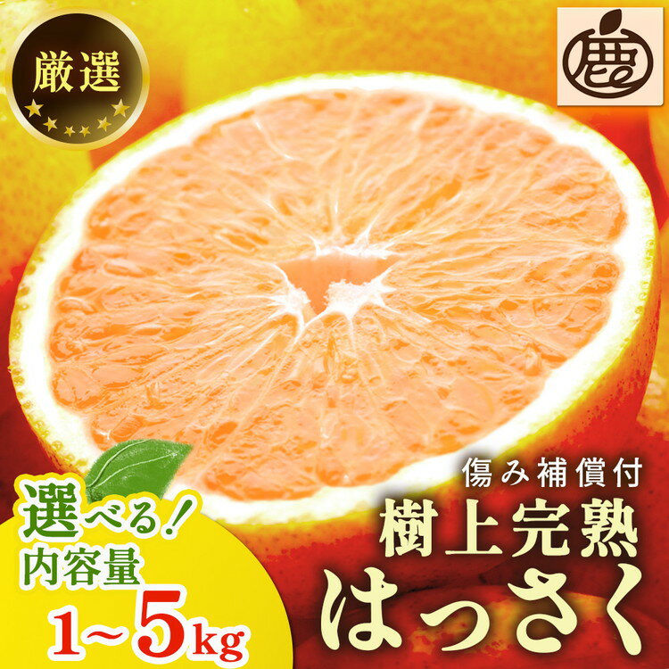 【ふるさと納税】【選べる内容量】＜4月より発送＞厳選 樹上完熟はっさく（傷み補償分）【有田の春みかん・五月八朔・さつきはっさく・木生りはっさく・きなりはっさく】【光センサー選別】