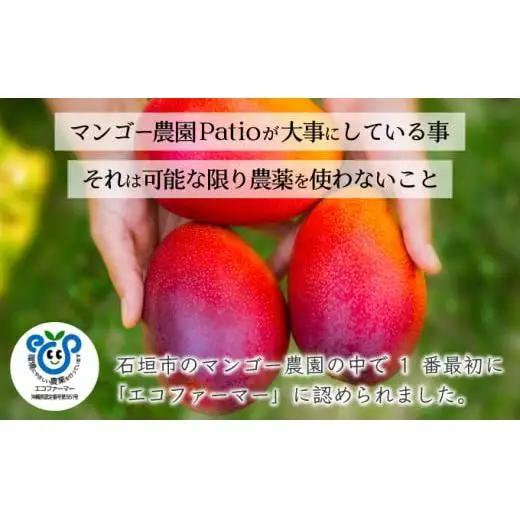 マンゴーアイス 6個（1個 60g）　PI-1