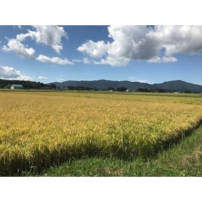 ふるさと納税 紫波町 【毎月定期便】岩手県紫波町産　特別栽培米　ひとめぼれ 精米 5kg全9回 |  | 02