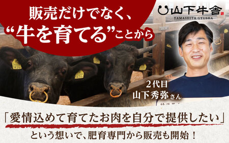 【霜降り A5ランク】佐賀牛 サーロイン ブロック 1kg【山下牛舎】黒毛和牛 牛肉 ロース ブロック肉 サーロインステーキ [HAD061]