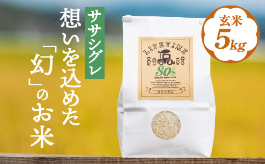 ササシグレ 玄米 5kg 米 お米 節減対象農薬不使用 化学肥料不使用 コメ こめ ささしぐれ ご飯 ごはん 主食 ライス 5キロ 産地直送 国産 宮城県 石巻市