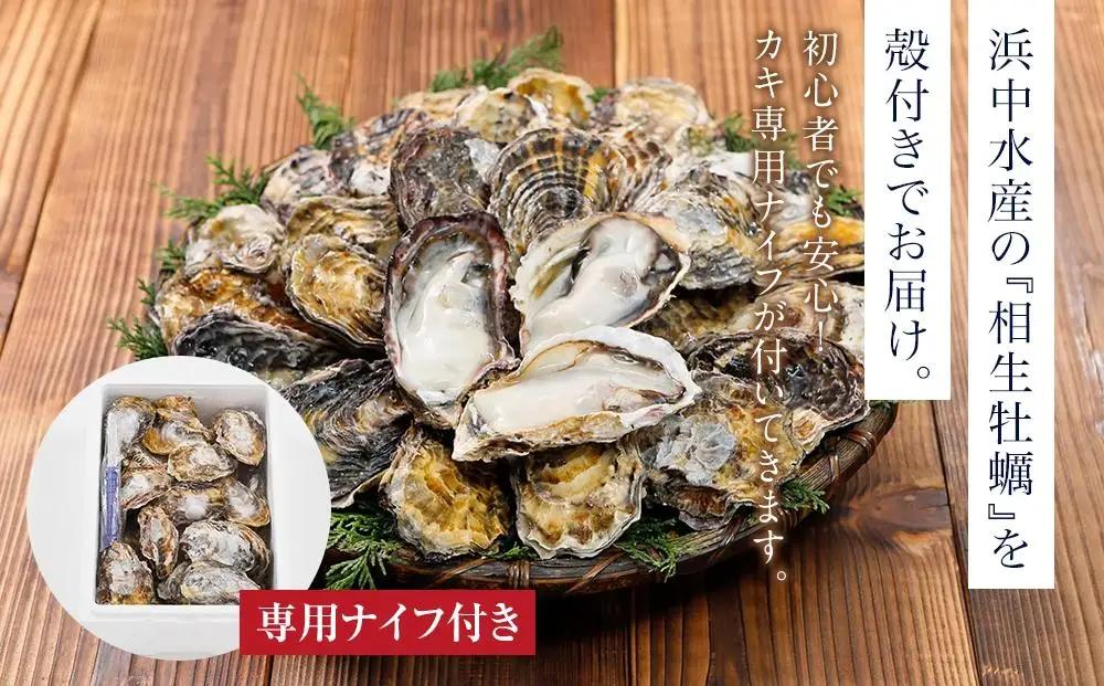 ★先行予約★【3月発送】特選！殻付き生牡蠣 20個【漁師直送！】