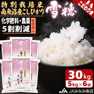ふるさと納税 南魚沼市 【令和7年産《新米》】農薬5割削減「特別栽培米南魚沼産こしひかり雪穂」精米30kg(5kg×6袋)