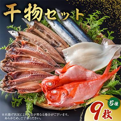 ふるさと納税 南房総市 B-3 こだわり干物セット(真あじ・さんま・いか・金目鯛・さんま丸干しなど)　mi0012-0111 | 