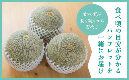 先行予約 タカミメロン 5kg 3～4玉 水野農園 2025年7月以降順次発送 メロン めろん 先行受付 フルーツ 果物 お中元 お取り寄せ ギフト 渥美半島 田原市 産地直送 送料無料 12000円