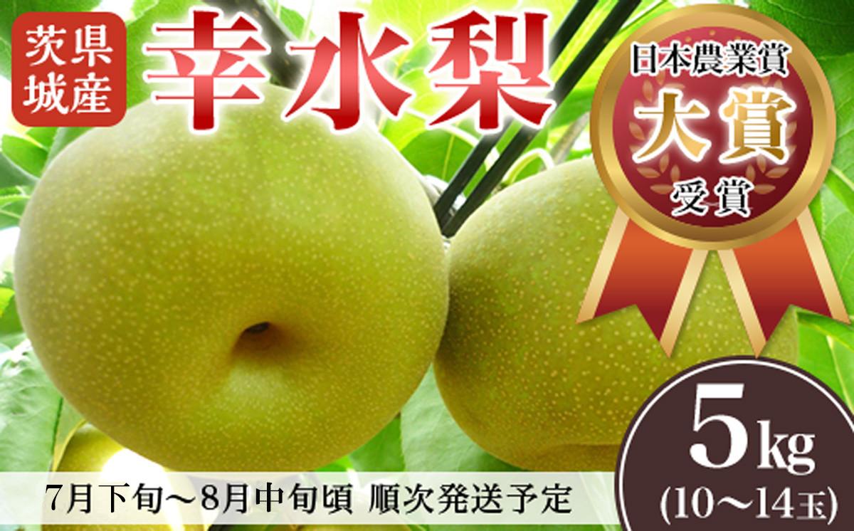 
                  【 先行予約 】 茨城県産 「 幸水梨 」 約5kg 【 2026年7月下旬 ～ 8月中旬にかけて発送予定 】【 こうすい 果物 くだもの フルーツ 国産 季節限定 人気 贈り物 お取り寄せ デザート 】
                