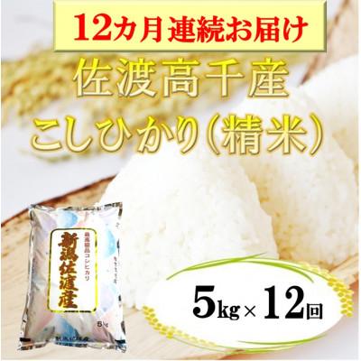 ふるさと納税 佐渡市 【毎月定期便】佐渡産こしひかり 5kg(精米)全12回