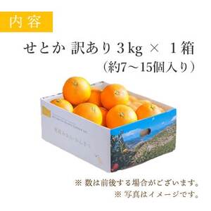 【2025年2月以降発送】とろける濃厚柑橘 せとか3kg 愛媛県八幡浜産【訳あり】【1128816】