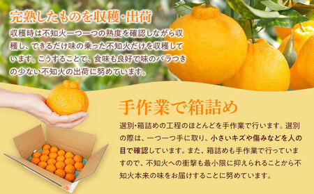 アルギット 不知火 約5kg 中玉 サイズ（20～22玉） 数量限定 先行予約 有田川町 山崎農園