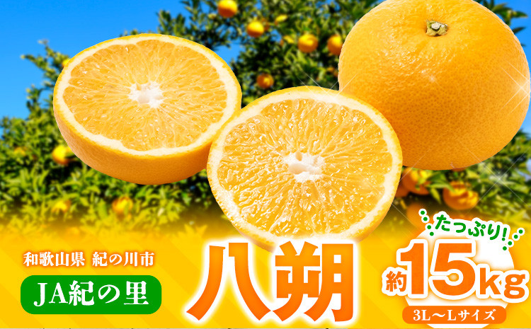
                  【先行予約】八朔 ネット入 約15kg 3L-Lサイズ JAわかやま 紀の里地域本部 《2027年1月上旬-3月末頃出荷》 和歌山県 紀の川市
                