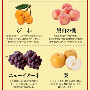 【定期便6回】 満足パック フルーツ 果物 定期便