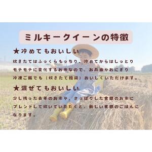 【令和7年産】栃木市岩舟町産ミルキークイーン10kg【精米】米　ミルキー　農家直送　産地直送　