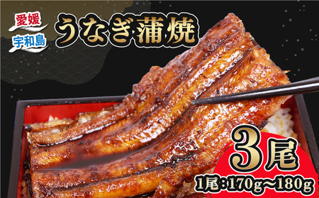 うなぎ国産 うなぎ蒲焼 170 ~ 180g 3尾 タレ付き タレ 蜂蜜 入り 河野鮮魚店 手作り 高級 鰻 うなぎ ウナギ unagi 養殖 本格 鰻蒲焼 国産鰻 国産ウナギ 頭付き 蒲焼 蒲焼き 国産うなぎ うな重 ひつまぶし 冷凍 パック 国産 愛媛 宇和島 D038-177004