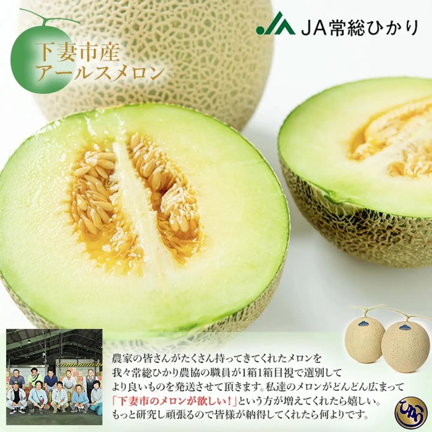 メロン 茨城県産 R8年産 アールスメロン 約2.5kg 2個