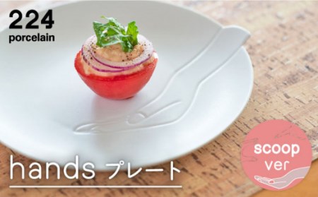  handsscoopプレート NAU192 