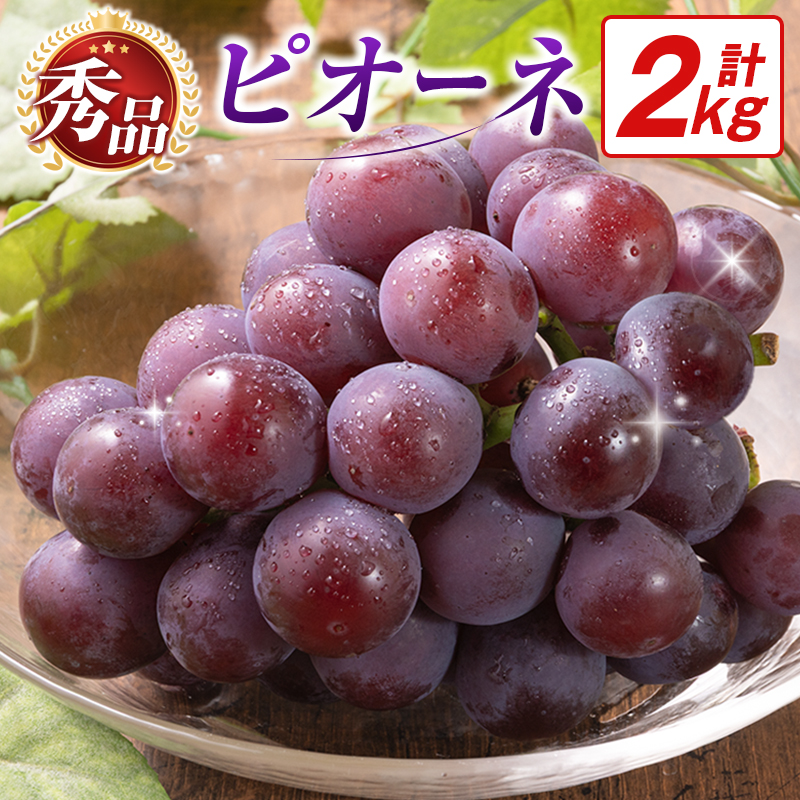 【令和8年発送 先行予約】小林市産 ピオーネ 2kg（ぶどう ブドウ ピオーネ フルーツ 果物 くだもの 先行受付 限定） 2.0kg程度