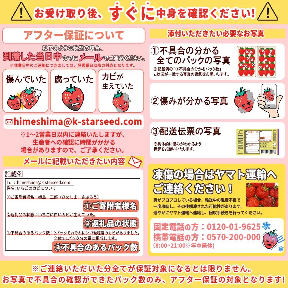 ベリーツ 約250g×4P【2月出荷】 2A1