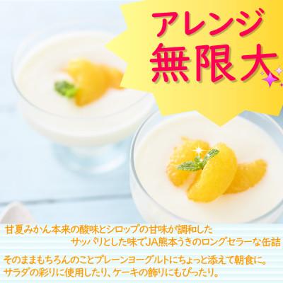 ふるさと納税 宇城市 【 JA 熊本うき】三角特産 甘夏みかん缶詰 6缶入り★ |  | 02