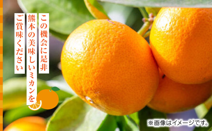 【先行予約】温州みかん約7kg　2S～2Lサイズ　【くまふる】 [ZBG050]