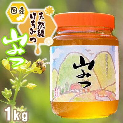 【ふるさと納税】はちみつ 国産 天然 純はちみつ やまみつ 1kg ハチミツ 蜂蜜