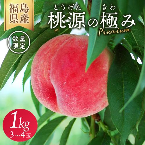 ◆2026年夏発送◆ 桃源の極み ～産直・桃・約1kg ※離島への配送不可 ※2026年7月上旬～9月上旬頃に順次発送予定｜先行予約 予約 桃 もも モモ 果物 くだもの フルーツ 詰め合わせ 福島 ふくしま