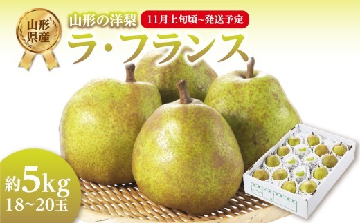 
                  《先行受付》ラフランス 約5kg（18～20玉）【2026年11月上旬頃～発送予定】【山形洋梨】ラフランス 山形県 大江町 フルーツ 果物 西洋梨 デザート 洋梨 梨 ナシ 大玉 大きい JA さがえ西村山 【001-082】
                