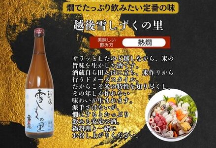 C1-B5越後銘門酒会 長岡の銘酒飲み比べセット720ml×5本（久保田・吉乃川・越乃中川・潟・雪しずく）